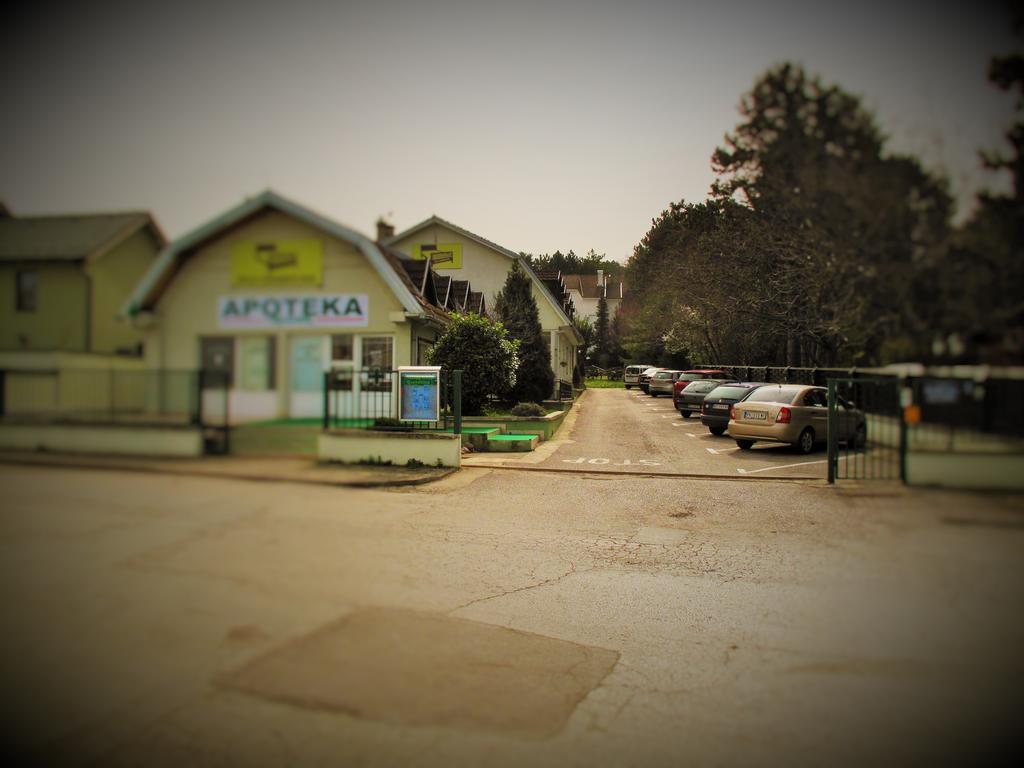 B&B Villa Evandjelina Sremska Kamenica Exterior foto