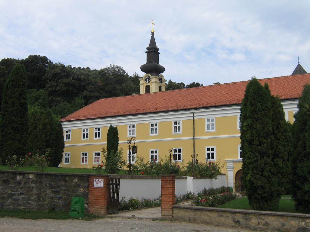 B&B Villa Evandjelina Sremska Kamenica Exterior foto